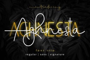 Aghnesta Trio: A Versatile Typeface for Editorial Design