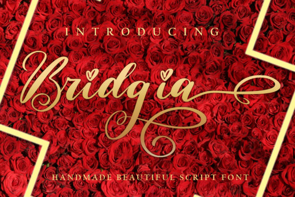Bridgia Font Review: Elegant Script for Branding