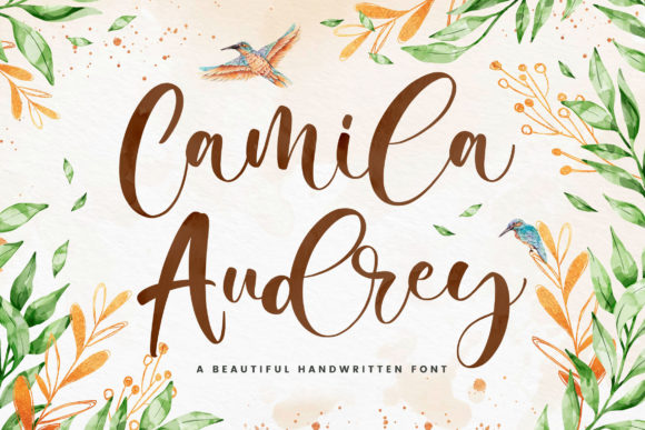 Camila Audrey Typeface Review
