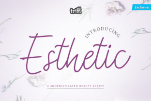 Esthetic: A Romantic Script Font for Crafters
