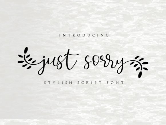 Just Sorry Font: Elevating Web Design with Script