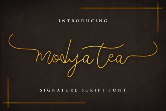 Modya Tea: A Designer’s Honest Review