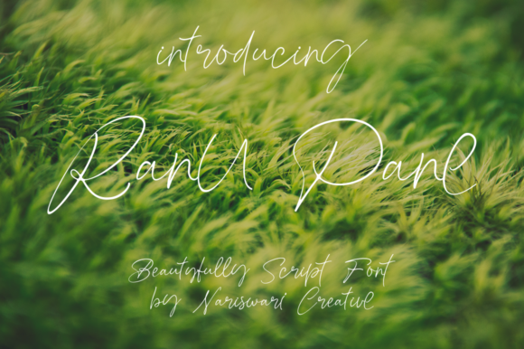 Ranu Pane Font: Elevating Web Design with Handwritten Elegance
